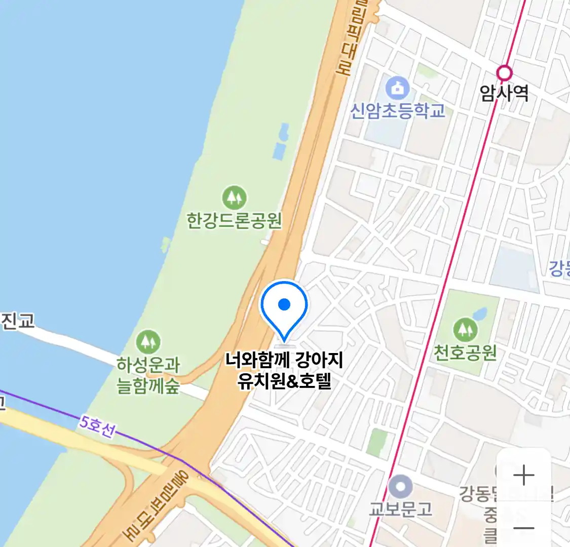 너와함께 강아지 유치원&호텔