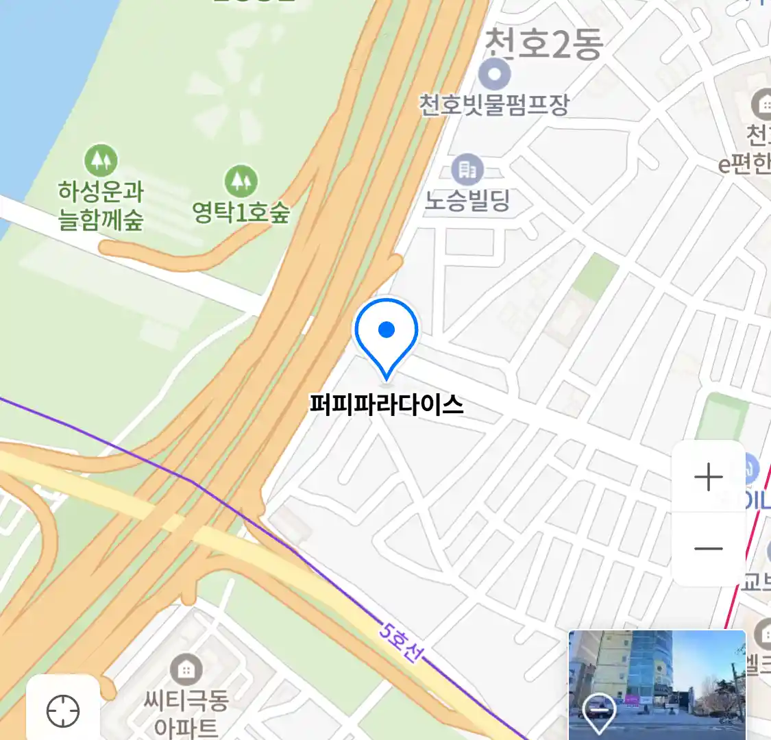 퍼피파라다이스