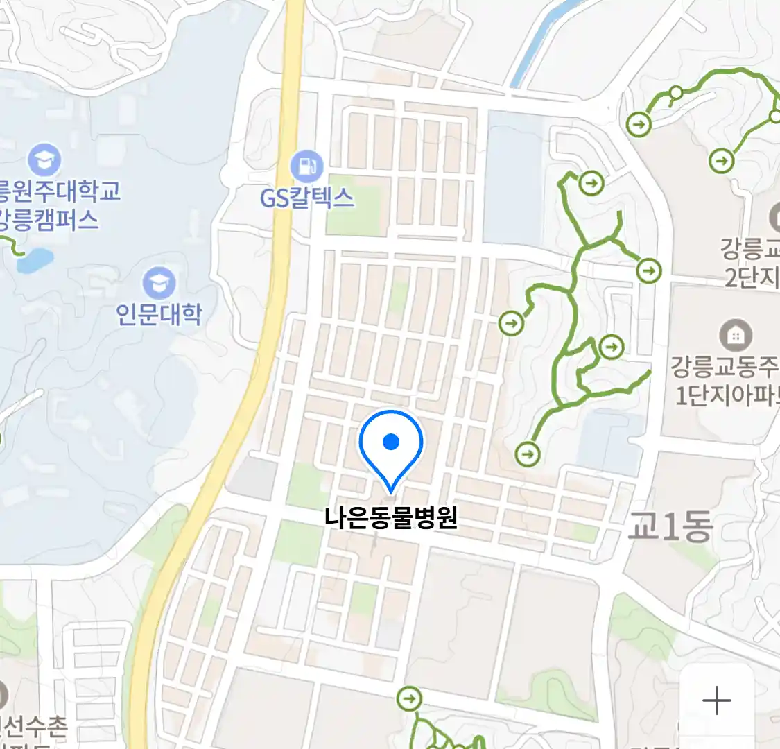 나은동물병원