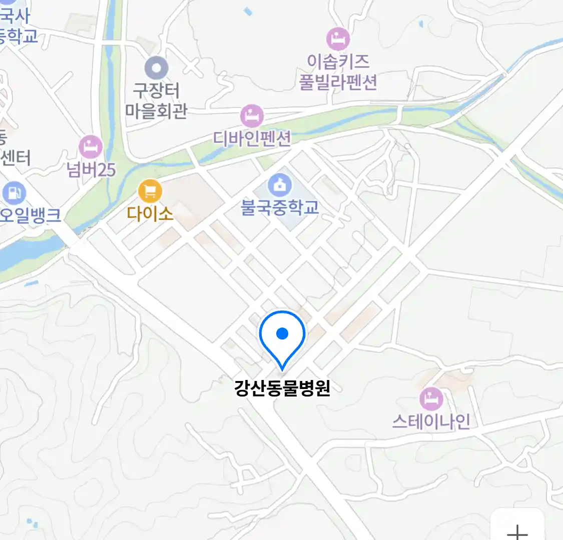 강산동물병원
