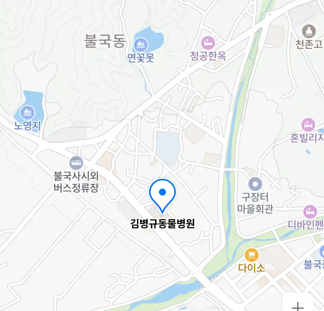 김병규동물병원