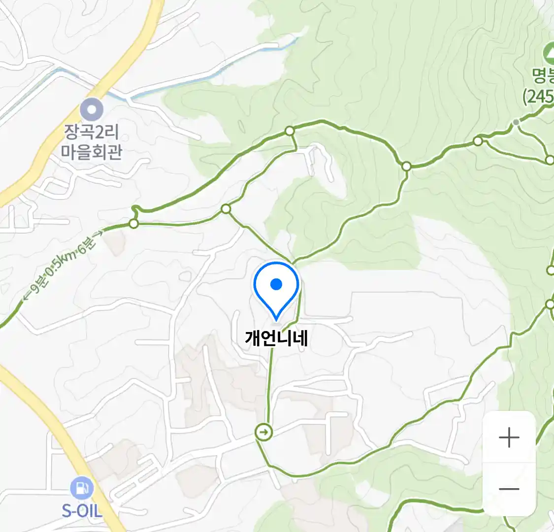 개언니네