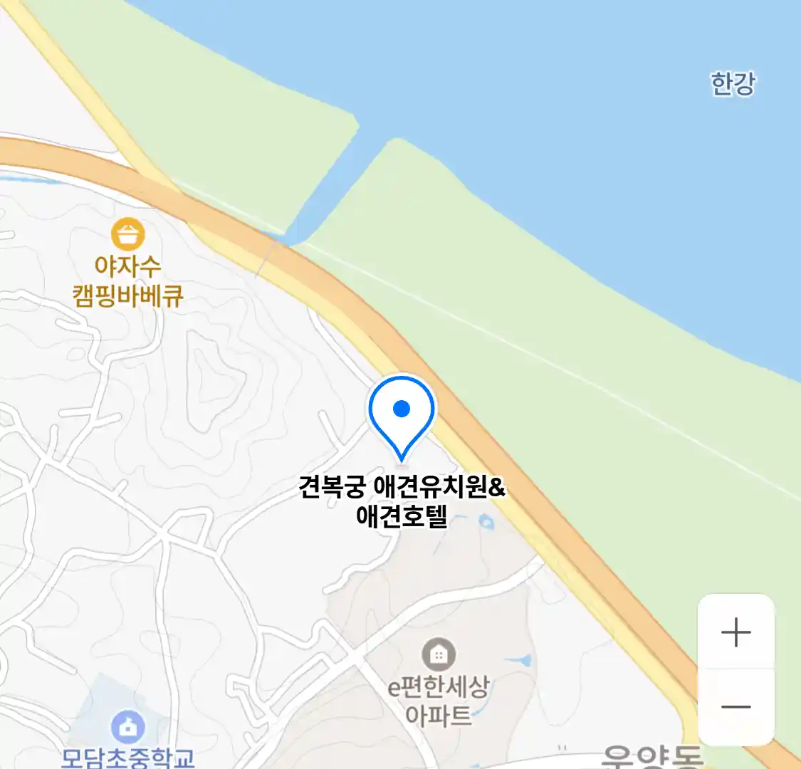 견복궁 애견유치원&애견호텔