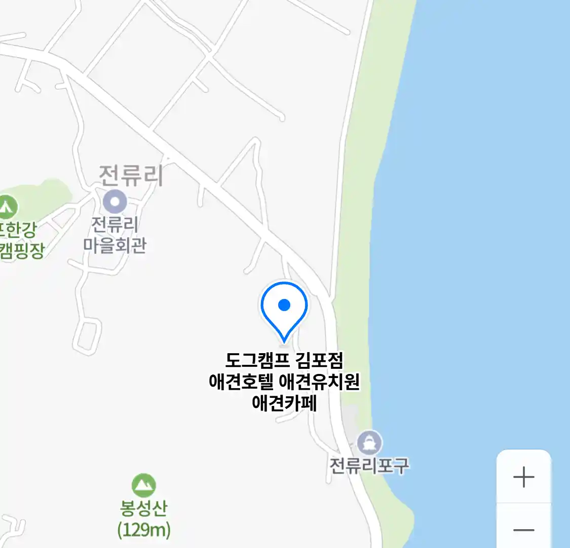 도그캠프 김포점 애견호텔 애견유치원 애견카페