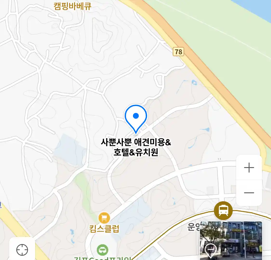 사뿐사뿐 애견미용&호텔&유치원