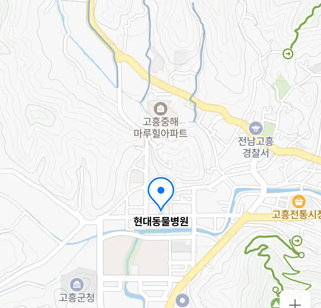 현대동물병원
