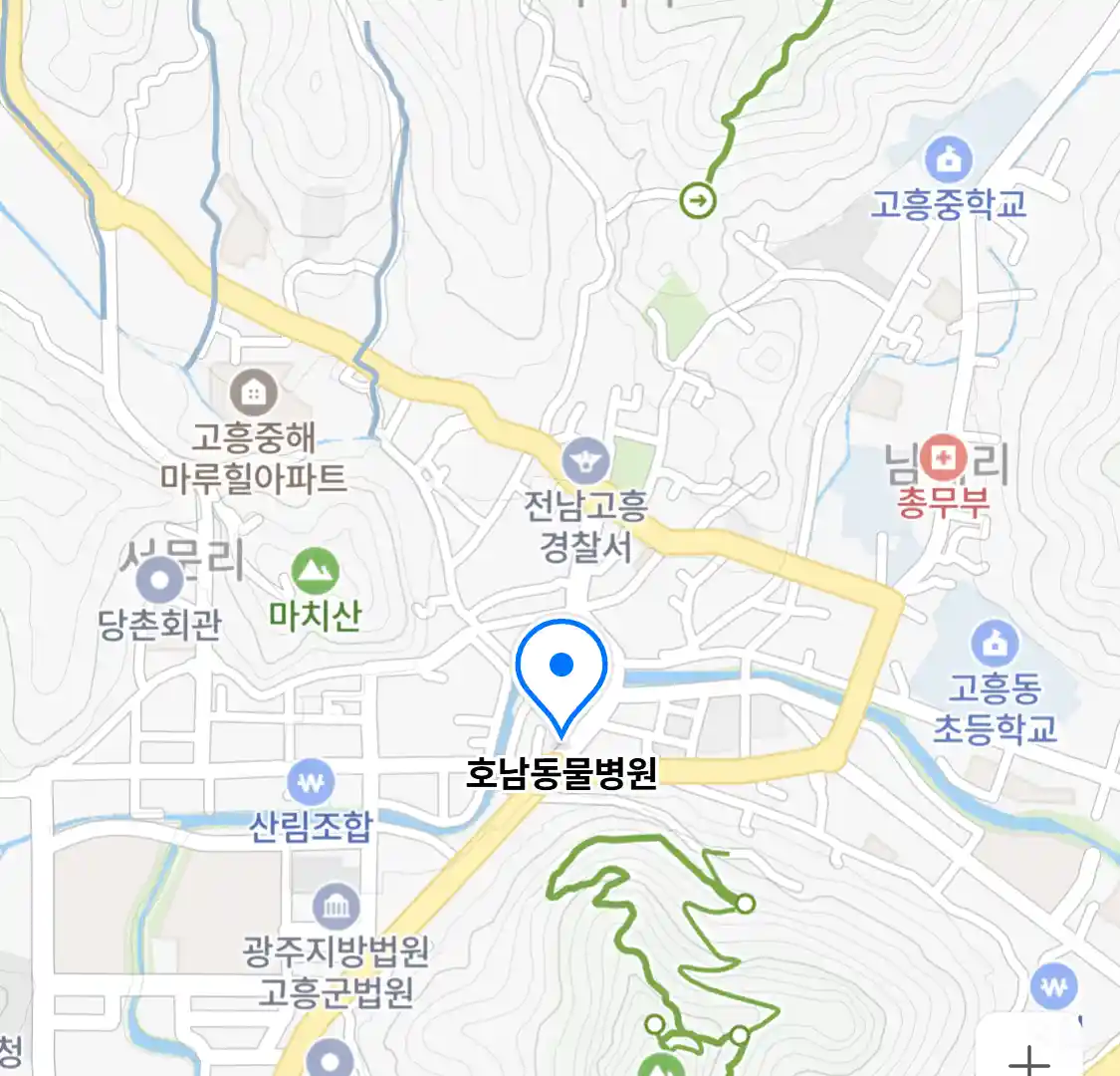 호남동물병원