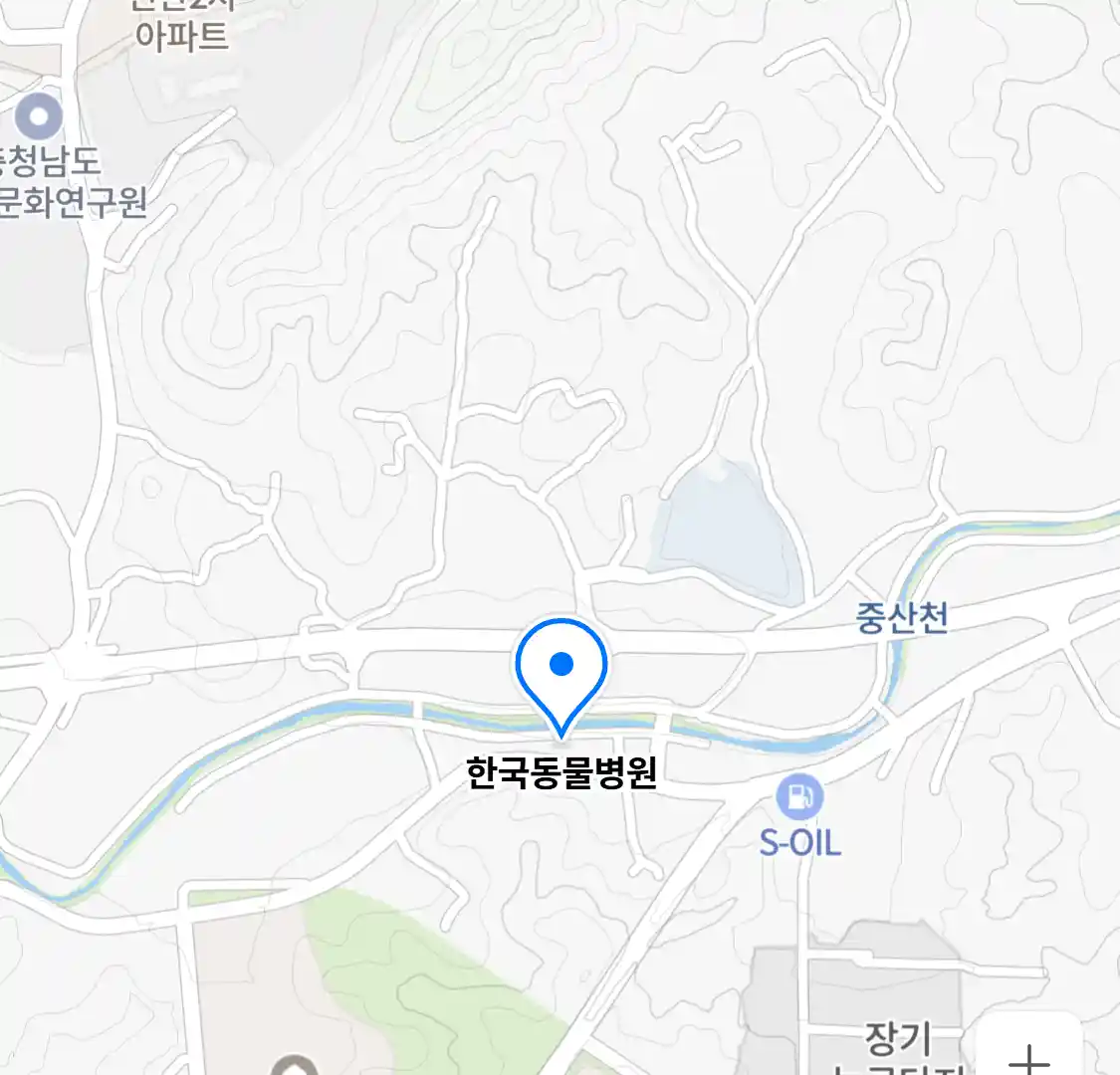 한국동물병원