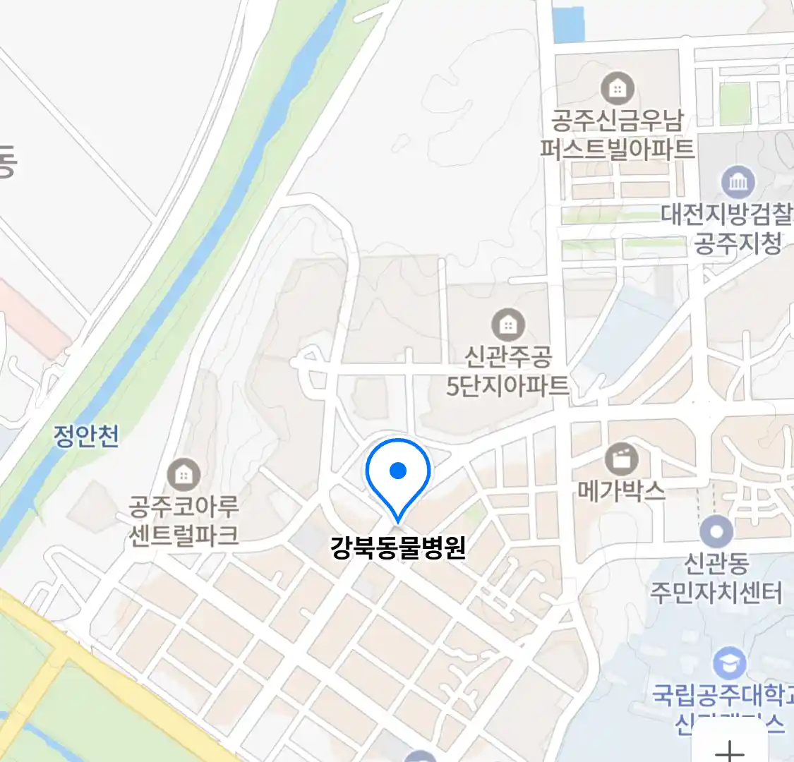 강북동물병원