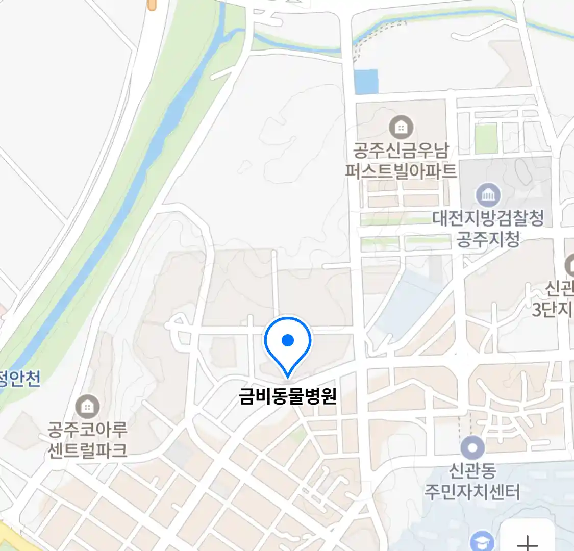 금비동물병원