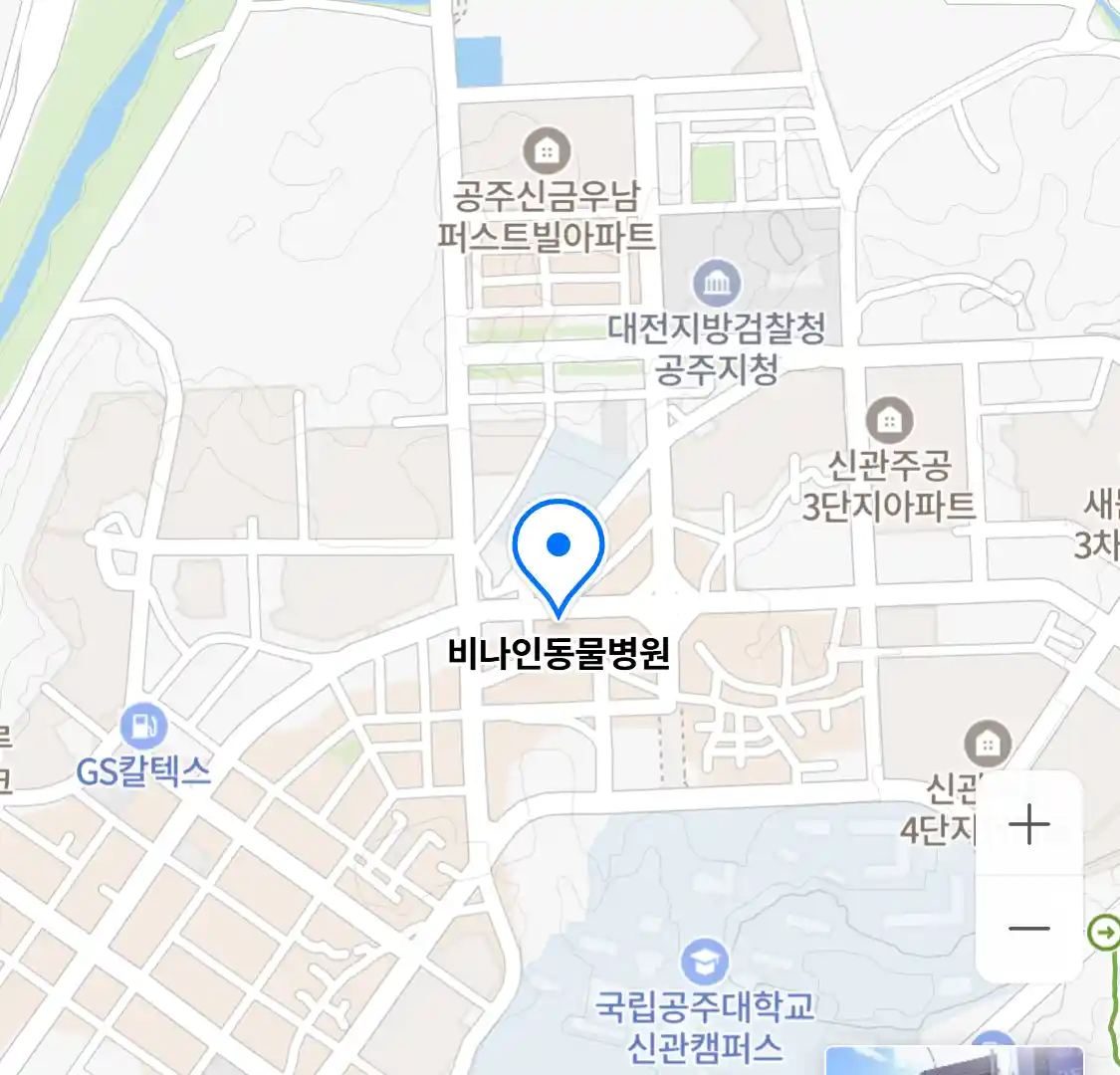 비나인동물병원
