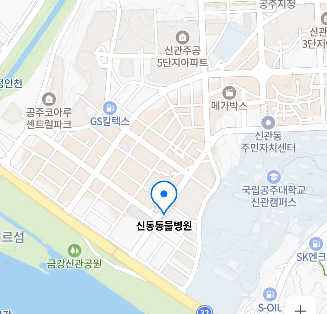 신동동물병원