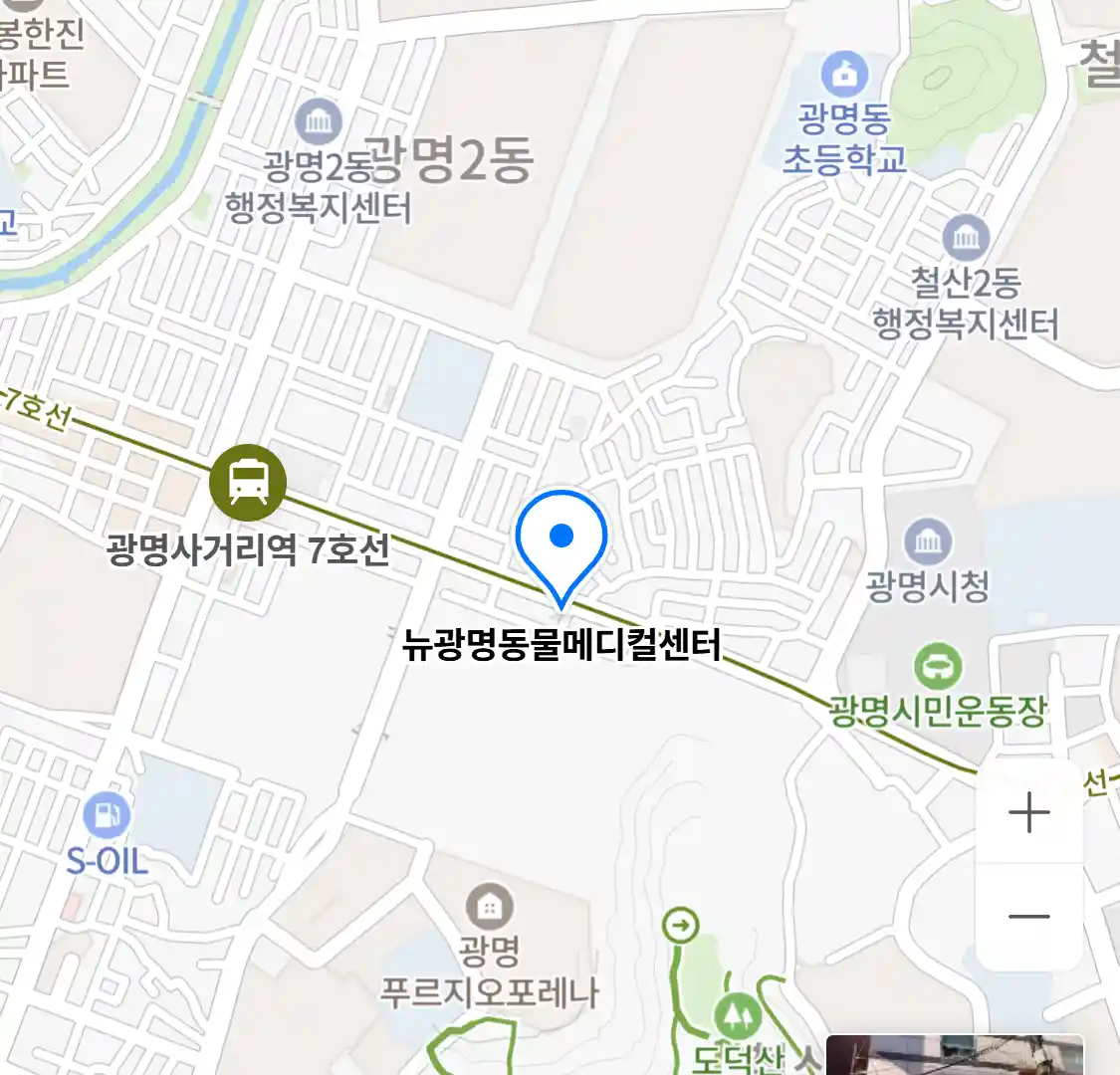 뉴광명동물메디컬센터