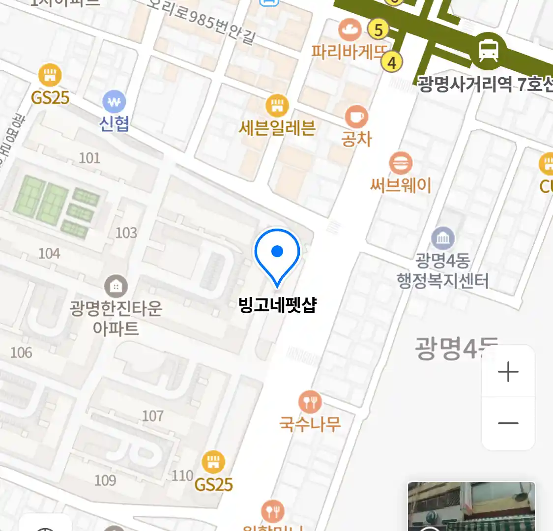 빙고네펫샵