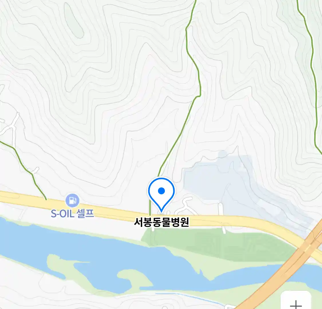 서봉동물병원