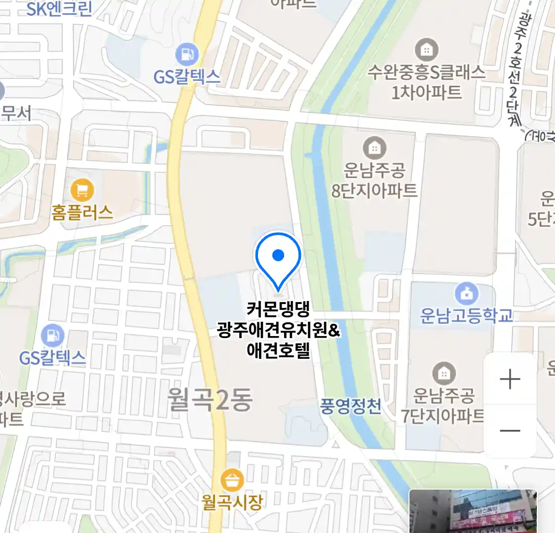 커몬댕댕 광주애견유치원&애견호텔