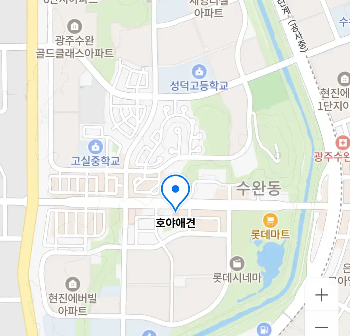 호야애견