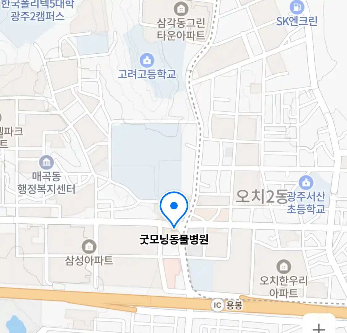 굿모닝동물병원