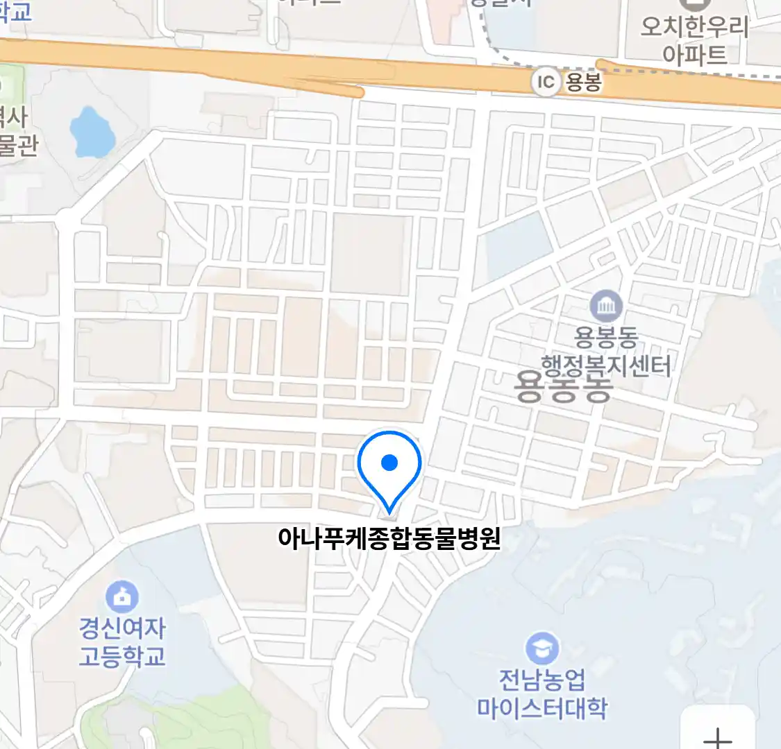 아나푸케종합동물병원