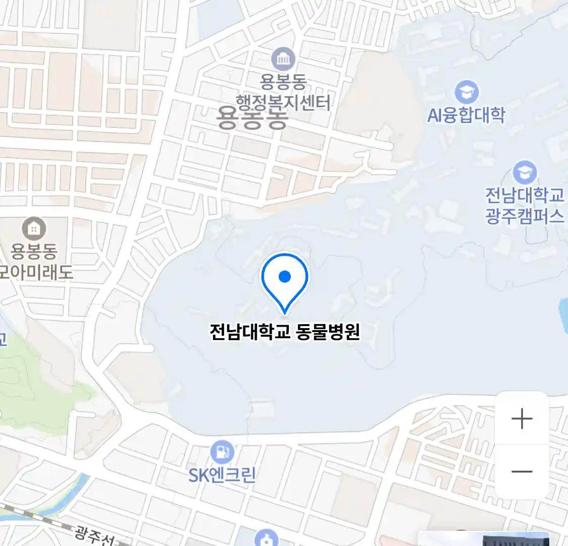 전남대학교 동물병원