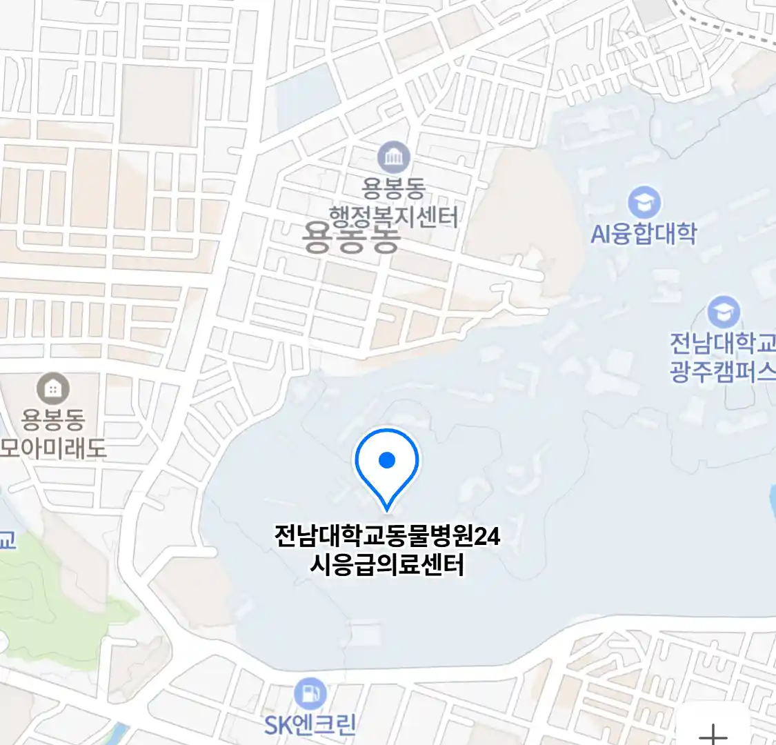 전남대학교동물병원24시응급의료센터
