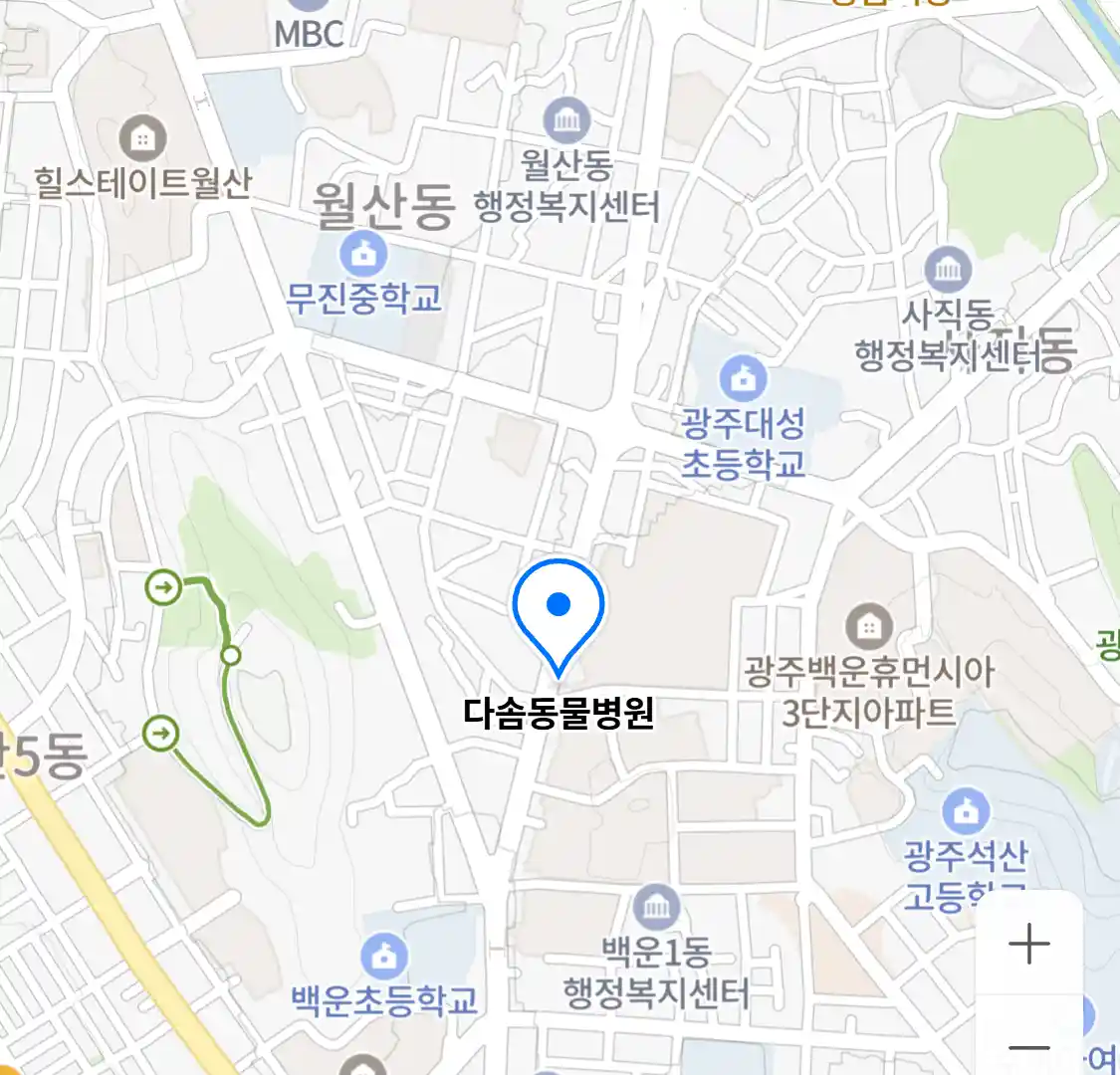 다솜동물병원