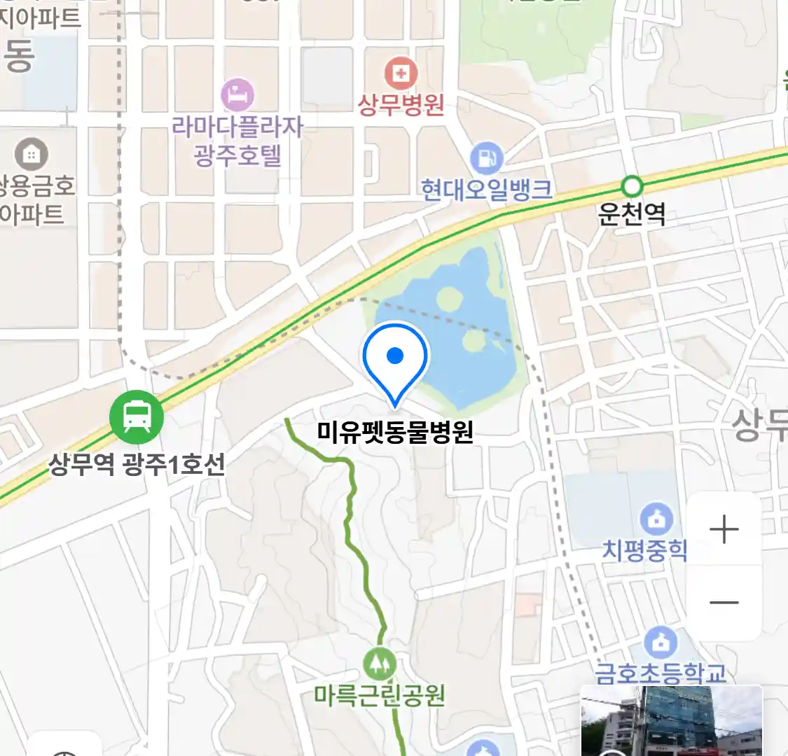미유펫동물병원