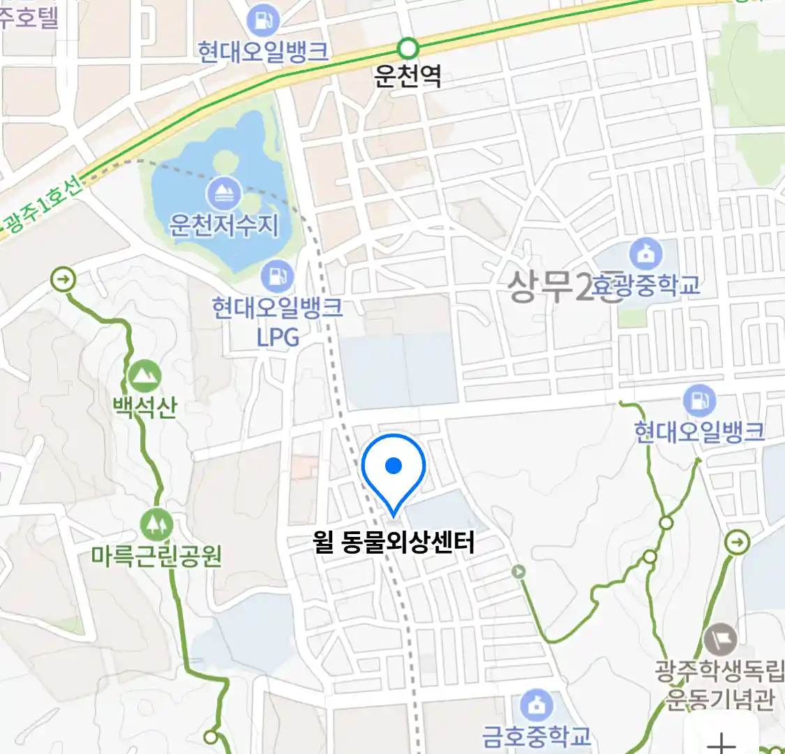 윌 동물외상센터