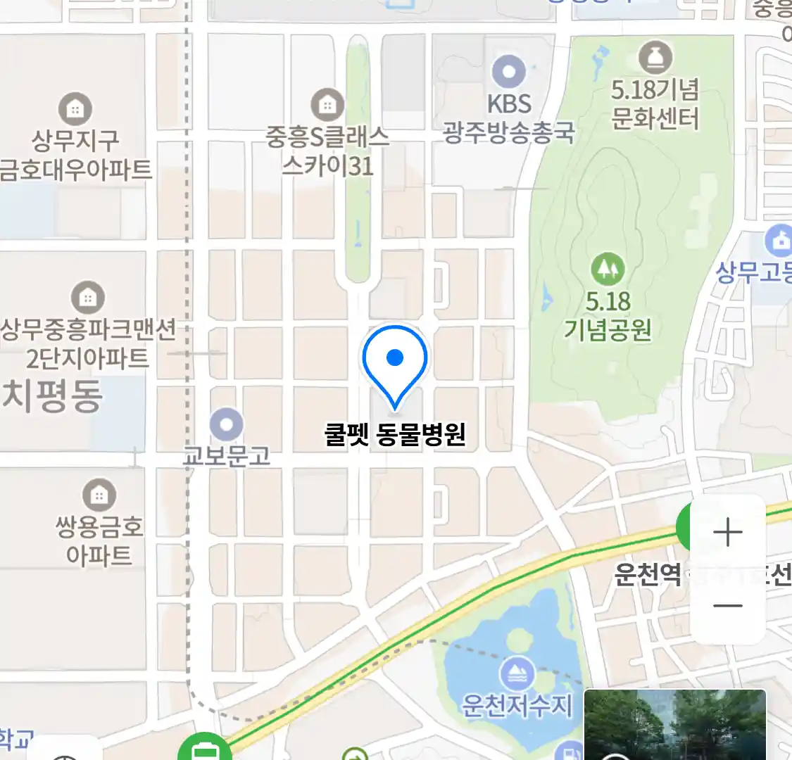 쿨펫 동물병원