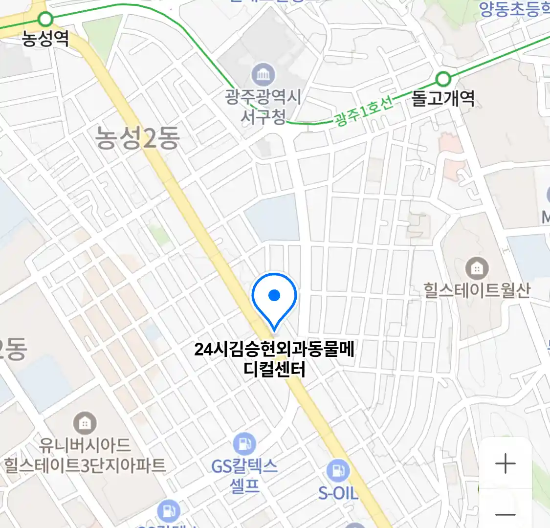 24시김승현외과동물메디컬센터
