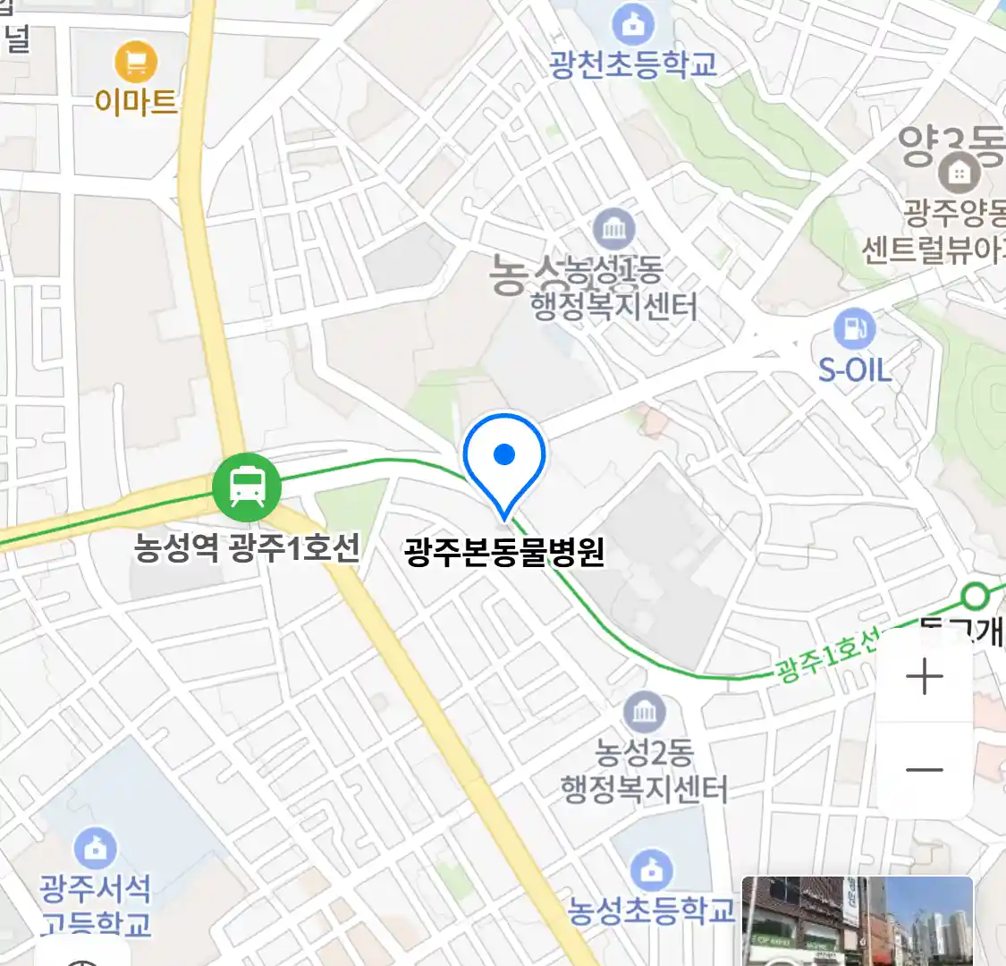 광주본동물병원