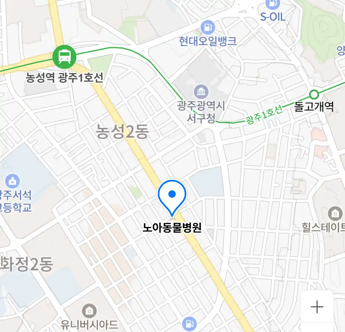 노아동물병원