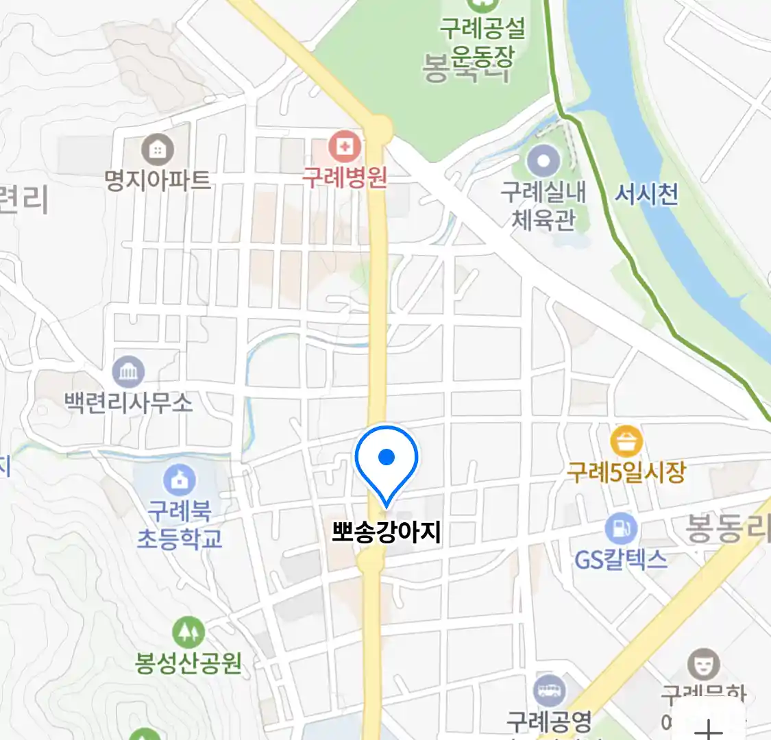 뽀송강아지