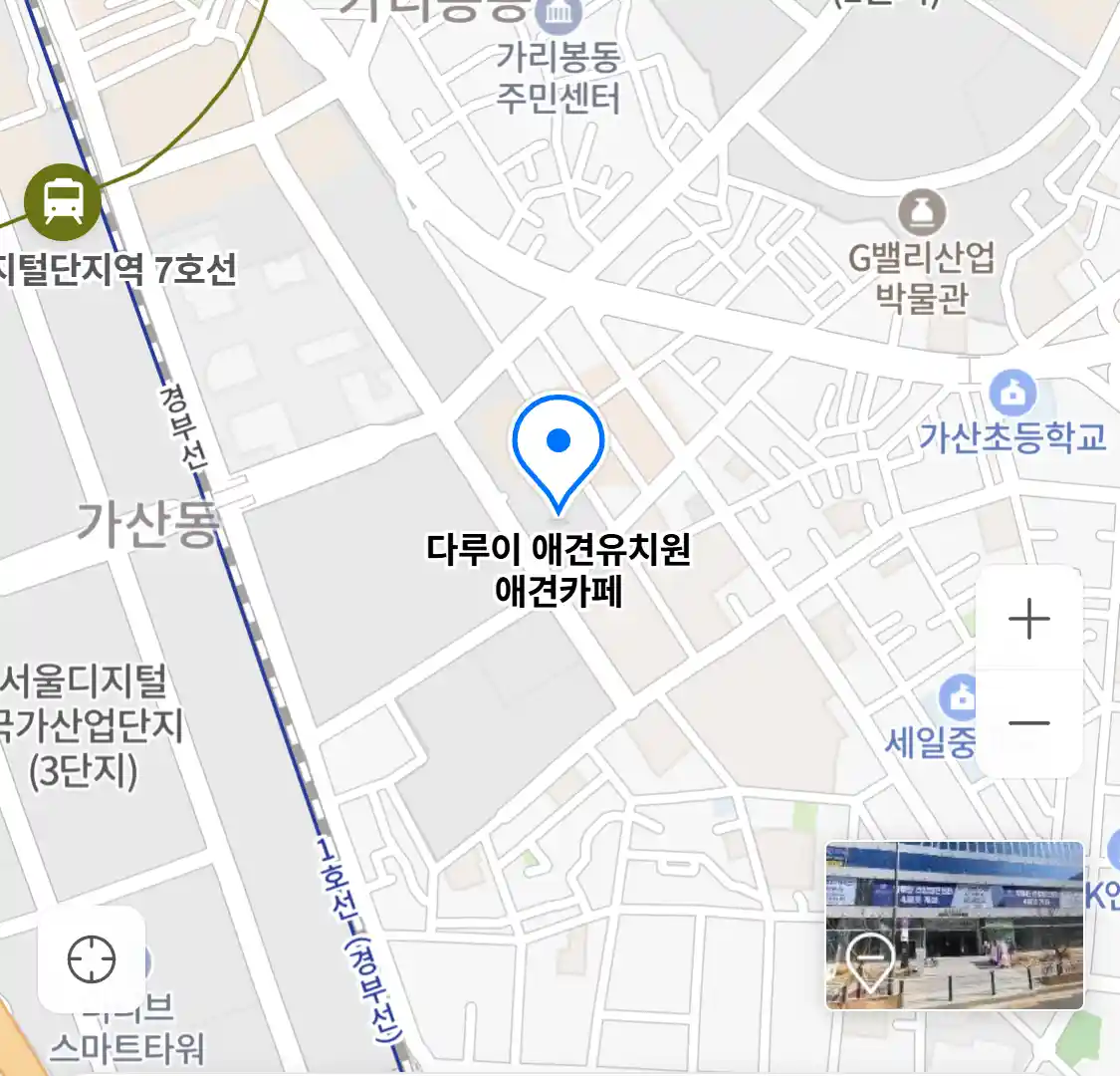 다루이 애견유치원 애견카페 위치