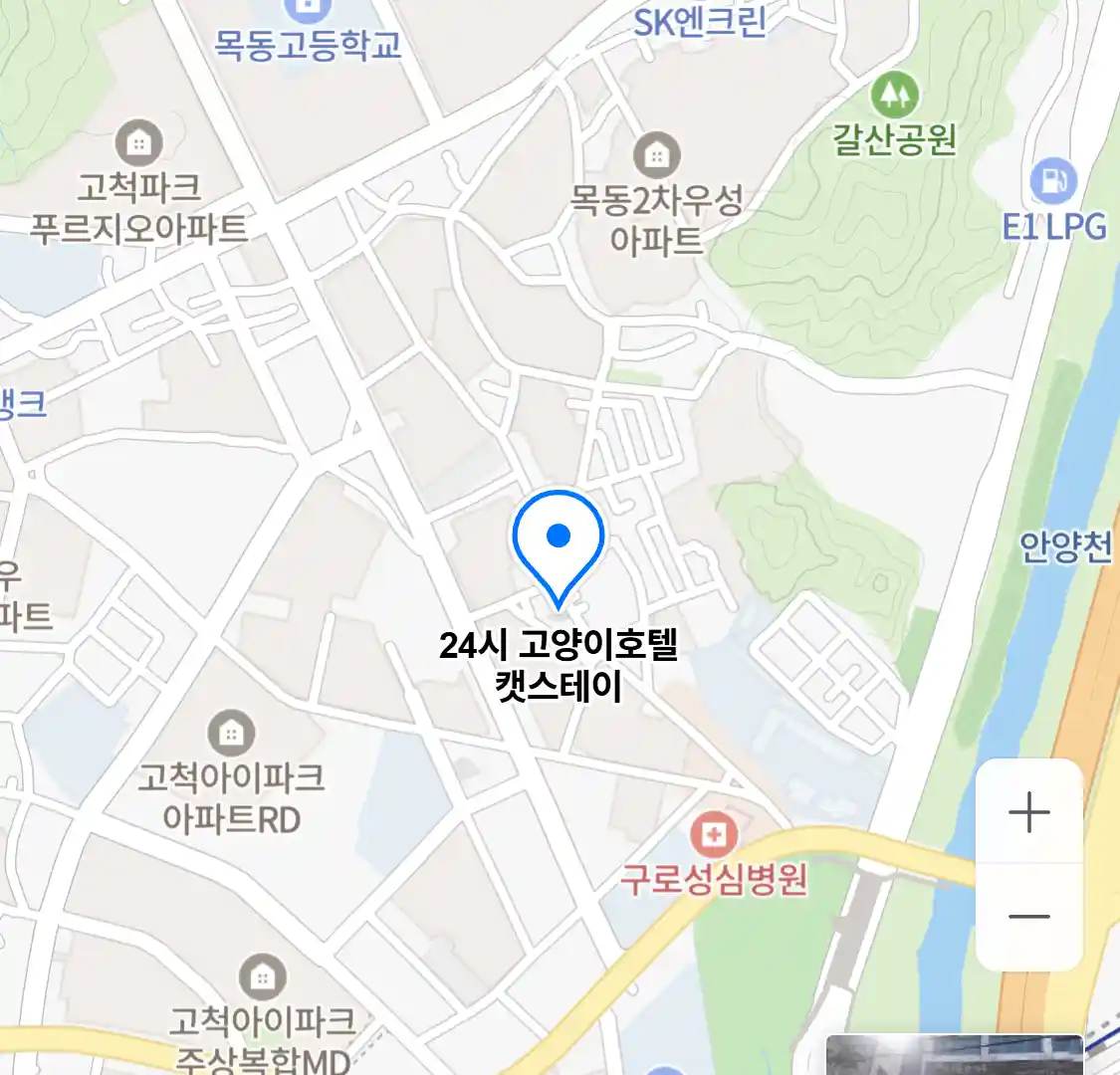 24시 고양이호텔 캣스테이