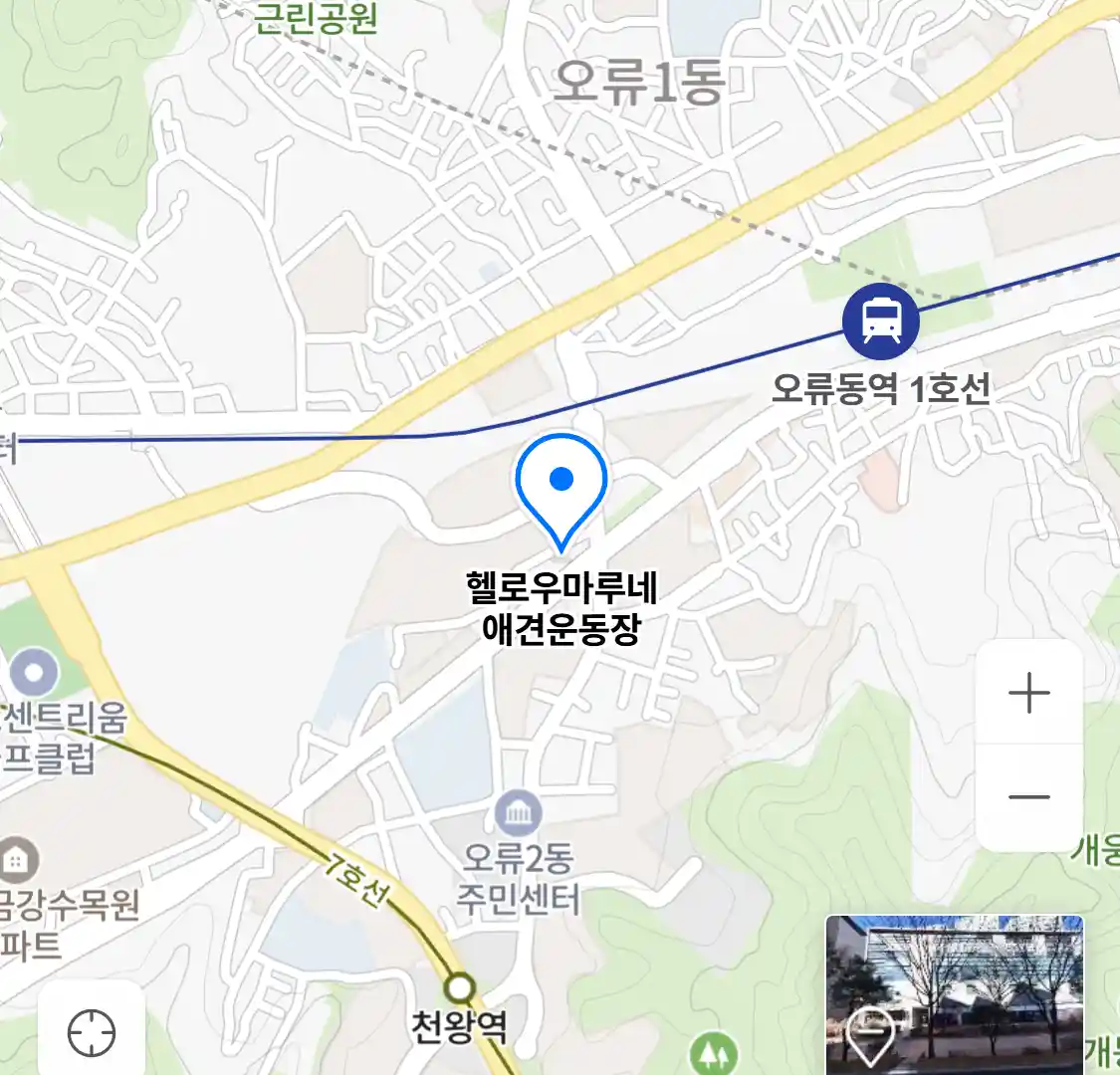 헬로우마루네 애견운동장