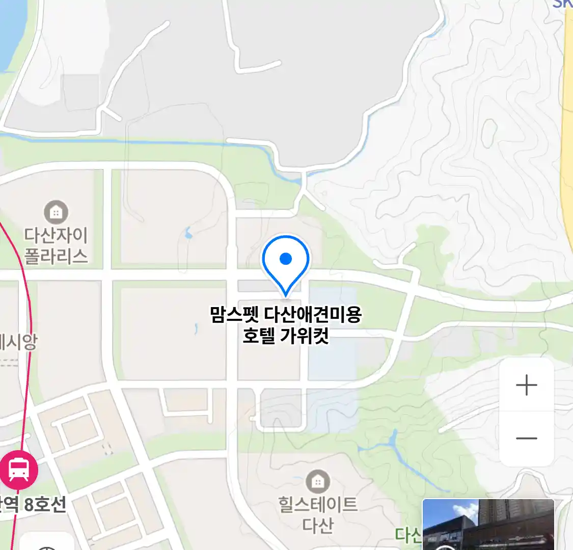 맘스펫 다산애견미용 호텔 가위컷