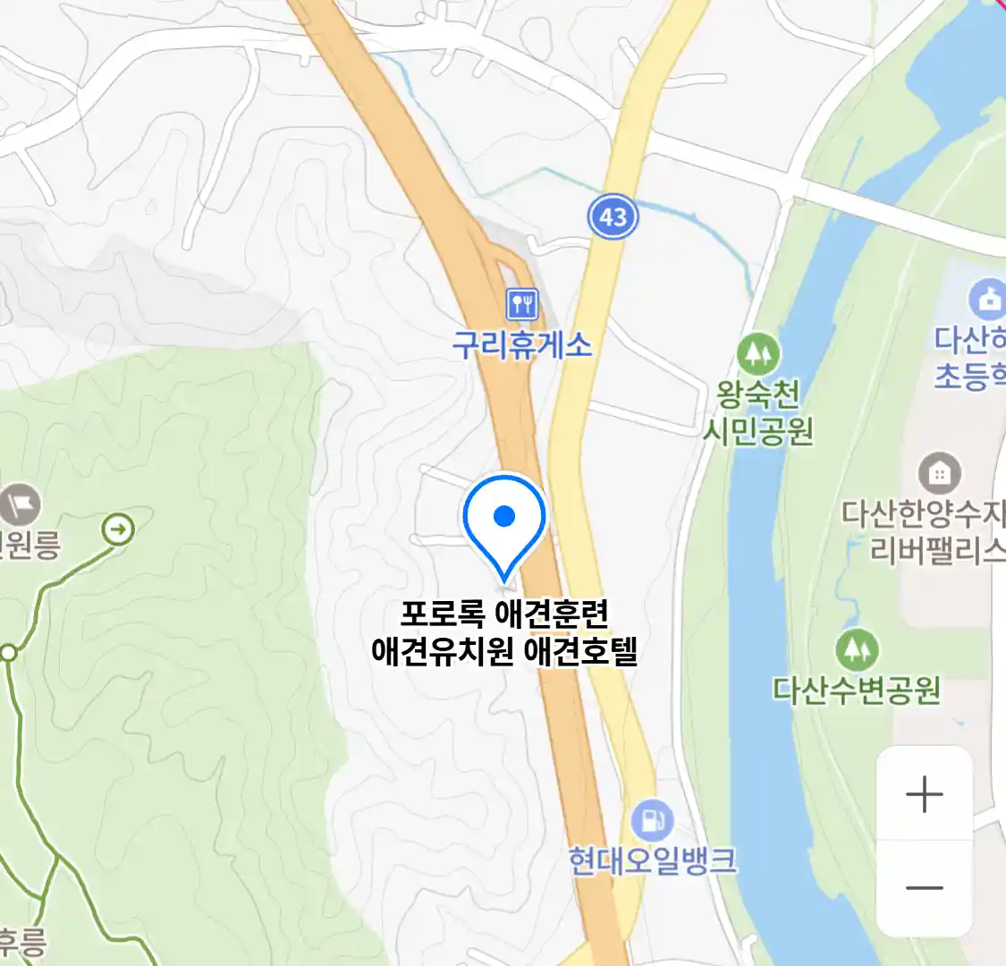포로록 애견훈련 애견유치원 애견호텔