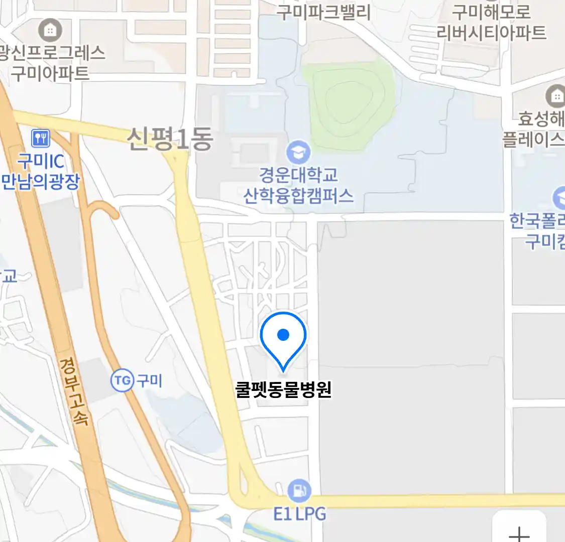 쿨펫동물병원