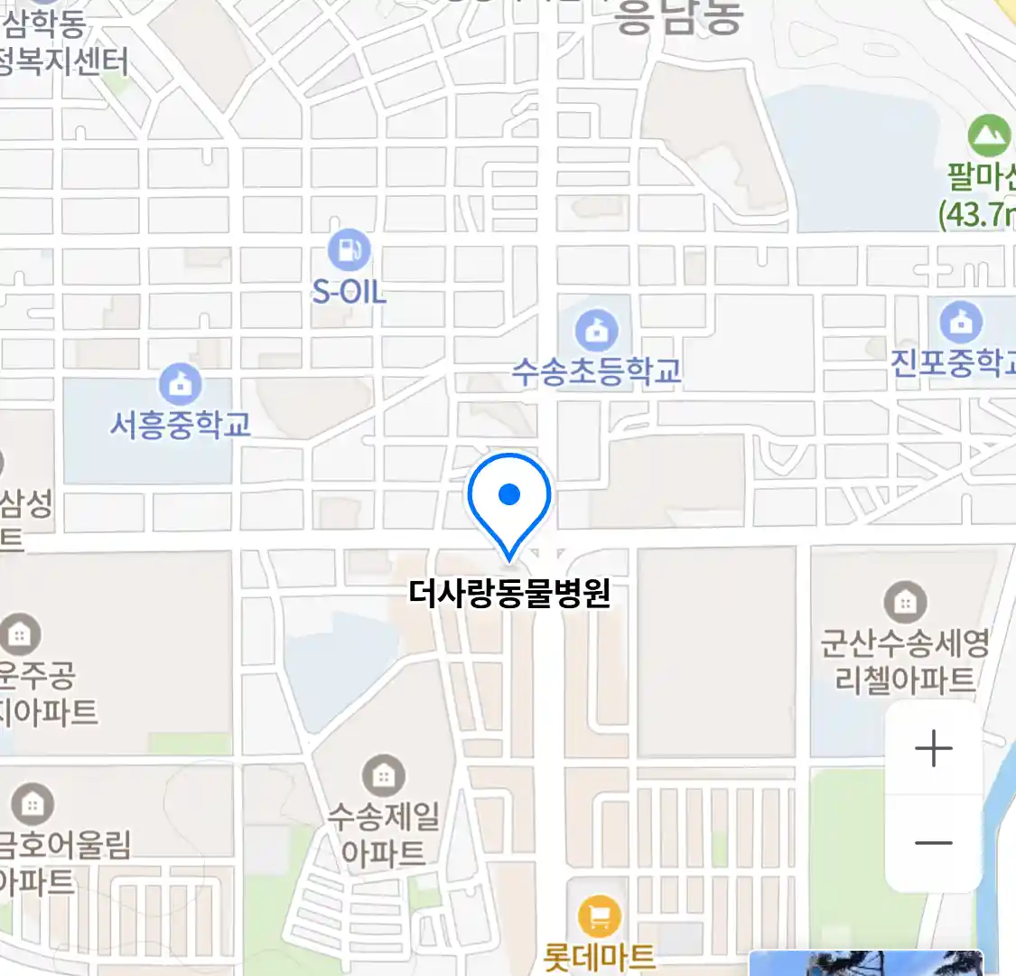 더사랑동물병원
