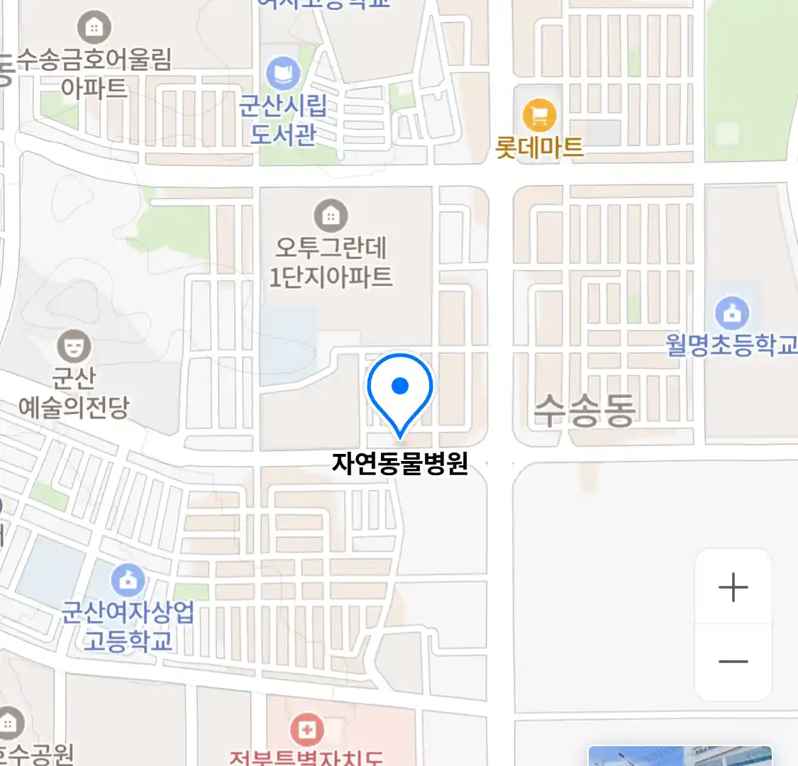 자연동물병원