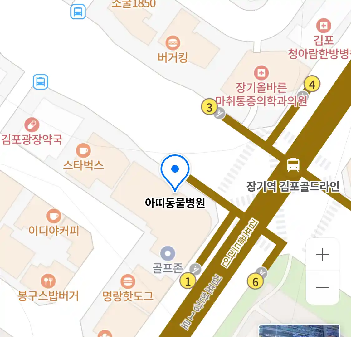 아띠동물병원