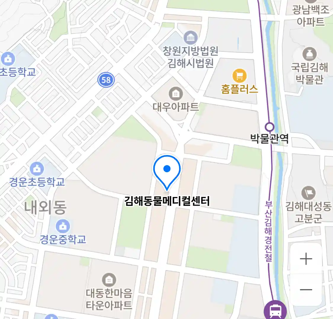 김해동물메디컬센터