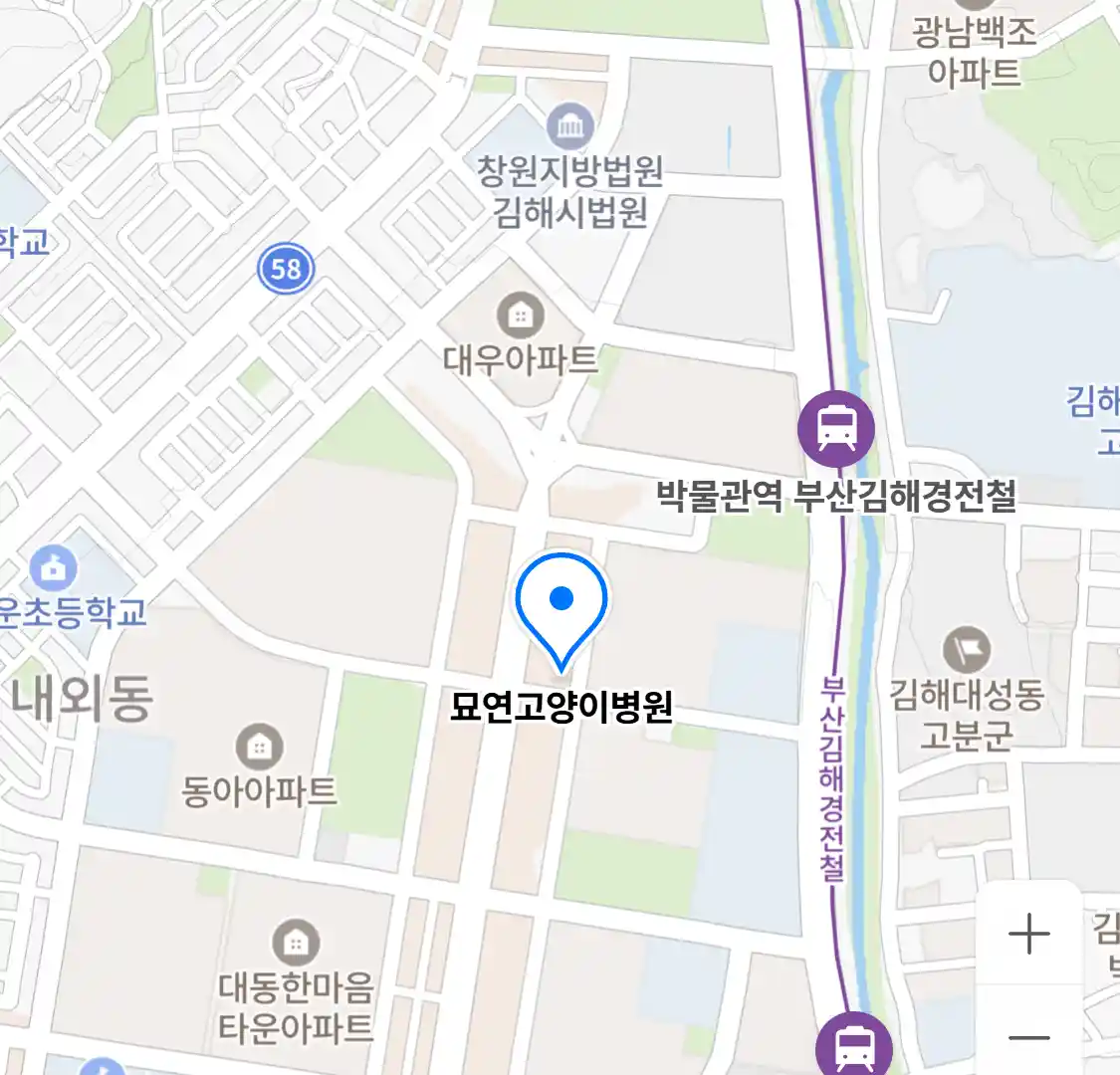 묘연고양이병원