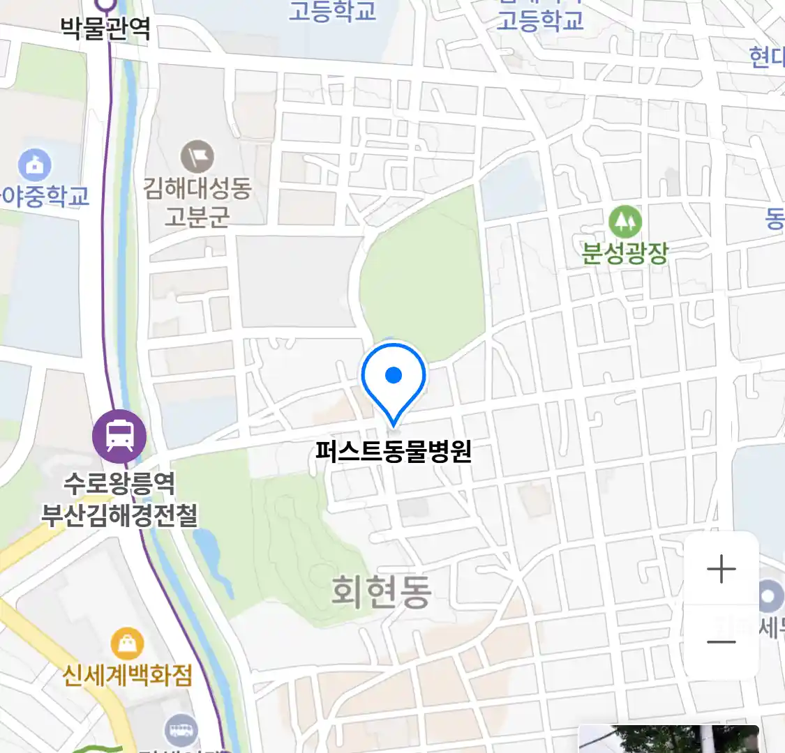 퍼스트동물병원