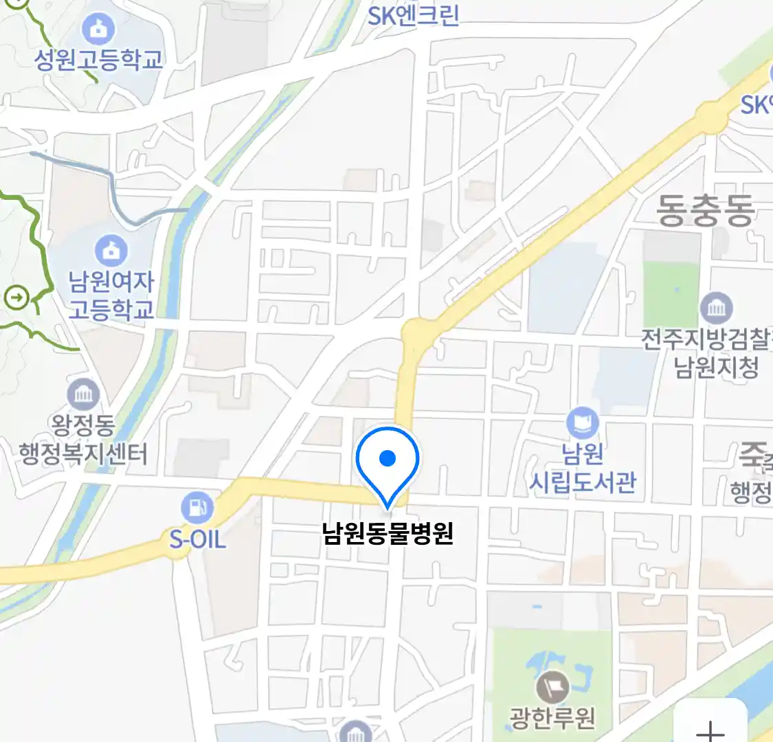 남원동물병원