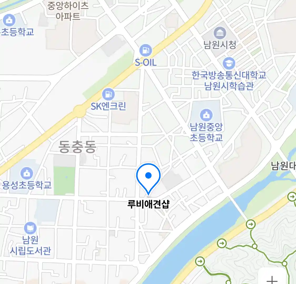 루비애견샵
