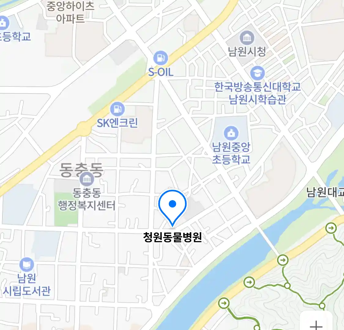 청원동물병원
