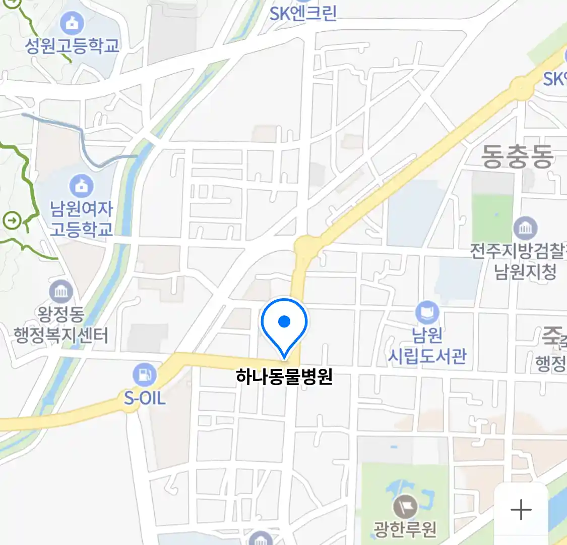 하나동물병원