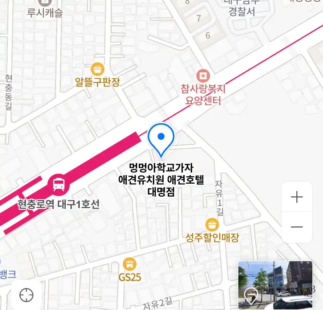 멍멍아학교가자 애견유치원 애견호텔 대명점
